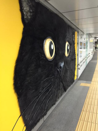 Illustration for article titled Tokyo's Giant Cat Billboard Is Big Enough to Pet